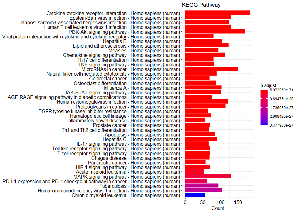 KEGG通路富集分析图B